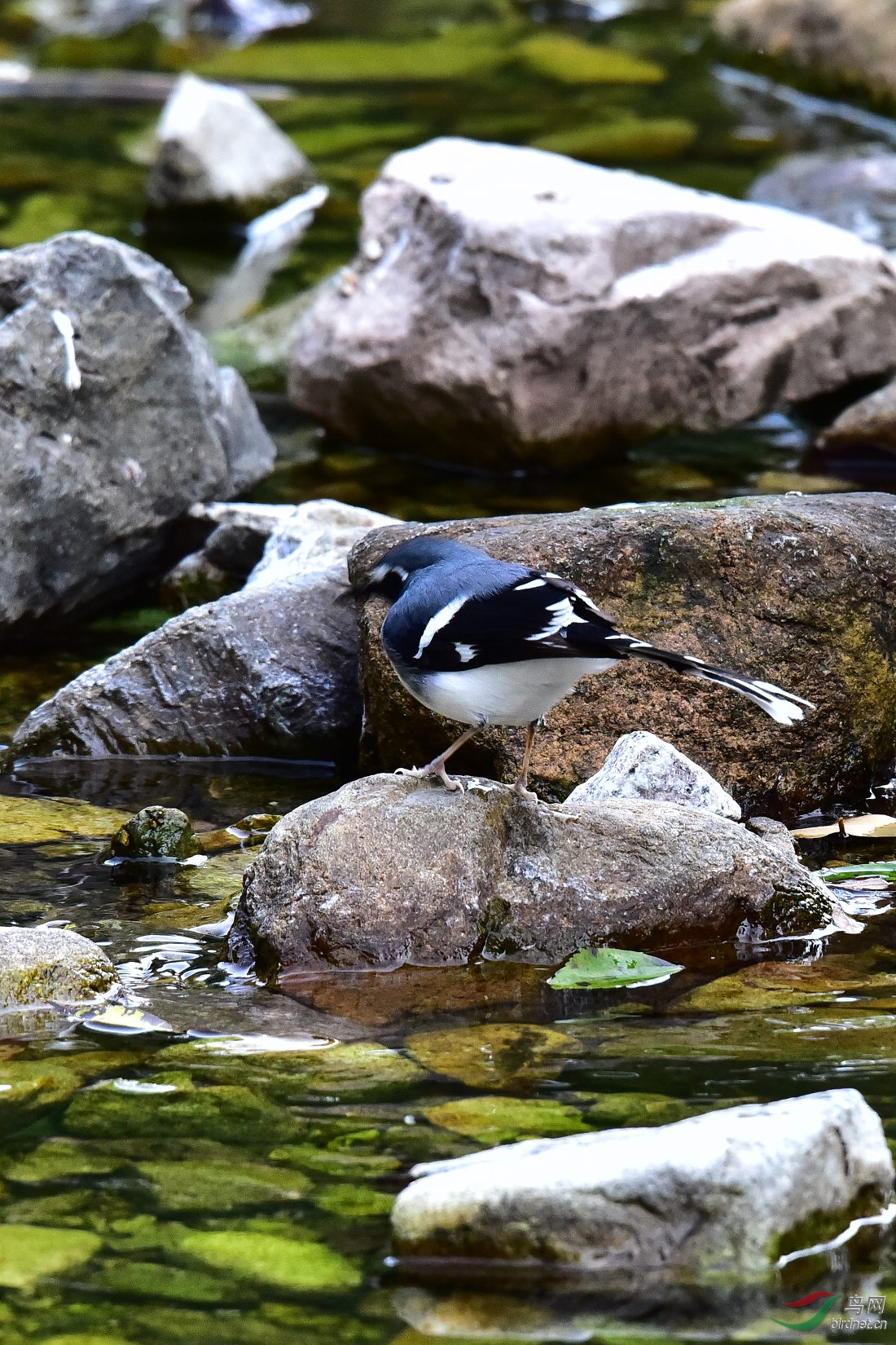 DSC_0213.JPG
