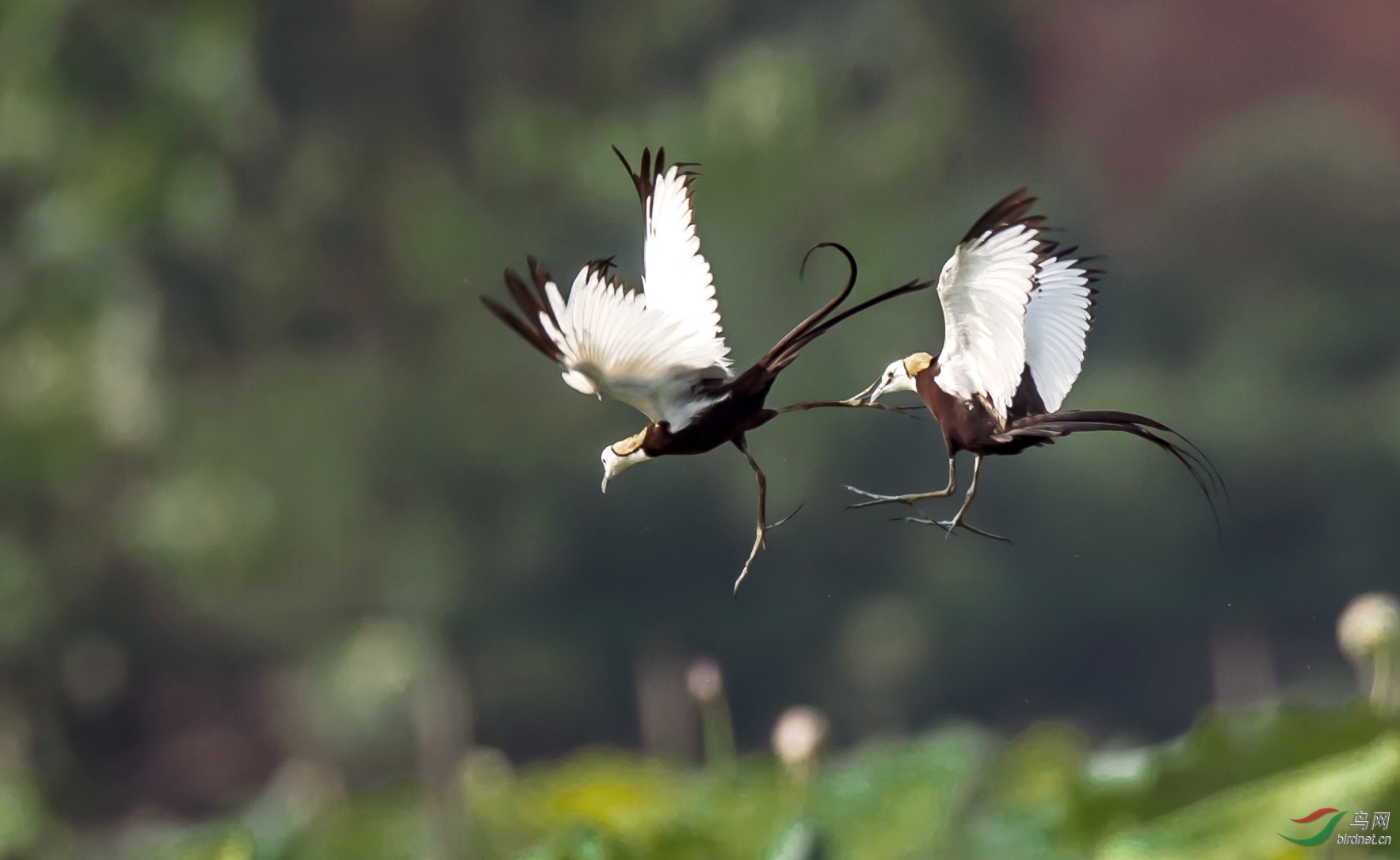 ˮ������