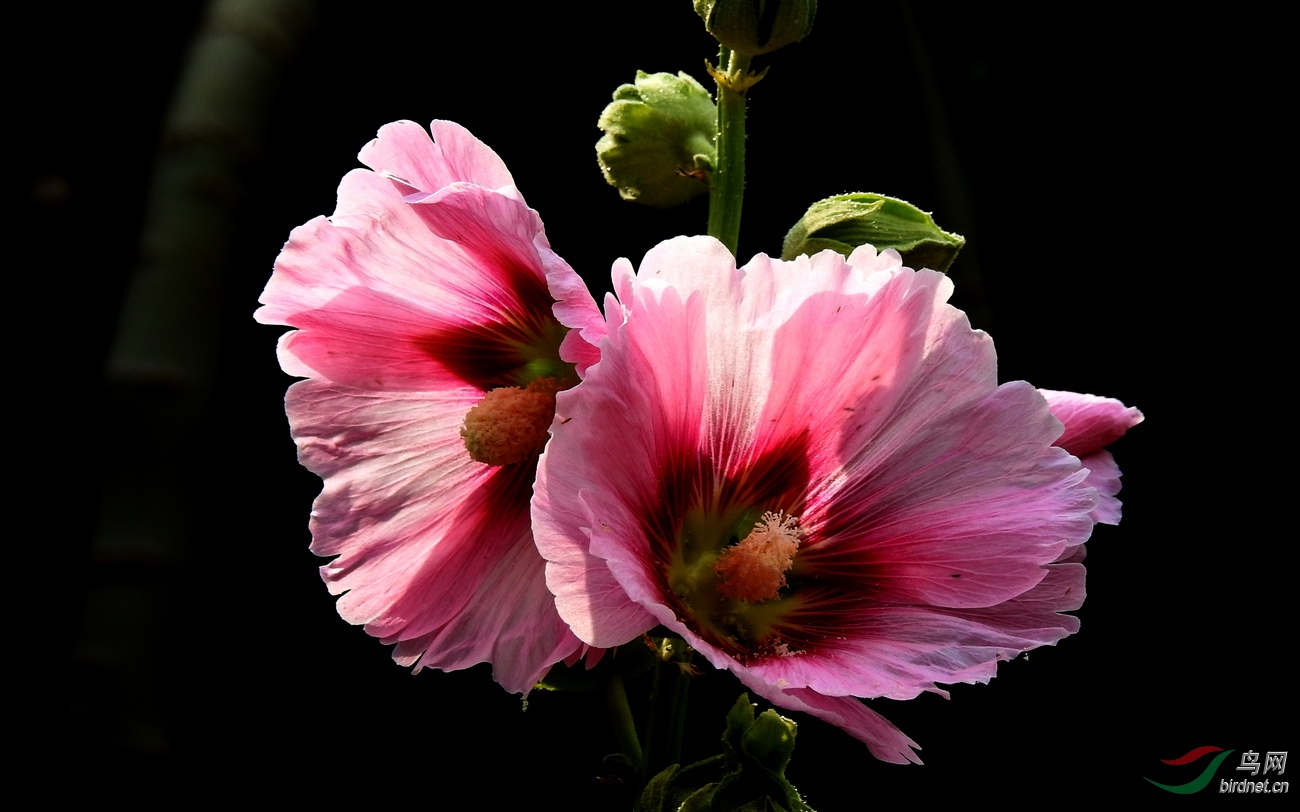 DSCN3994.JPG