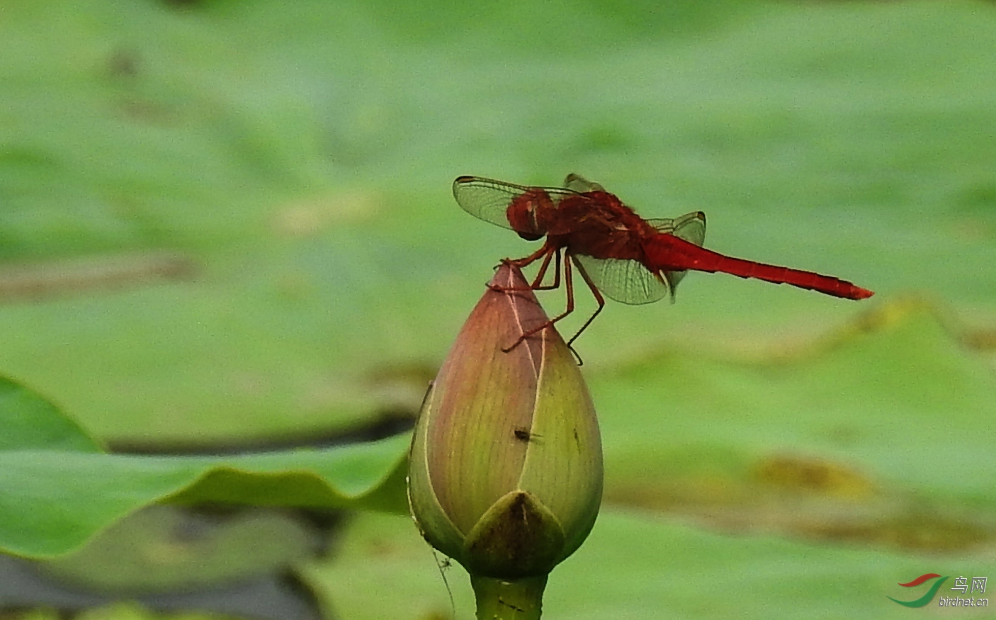 DSCN4013.JPG