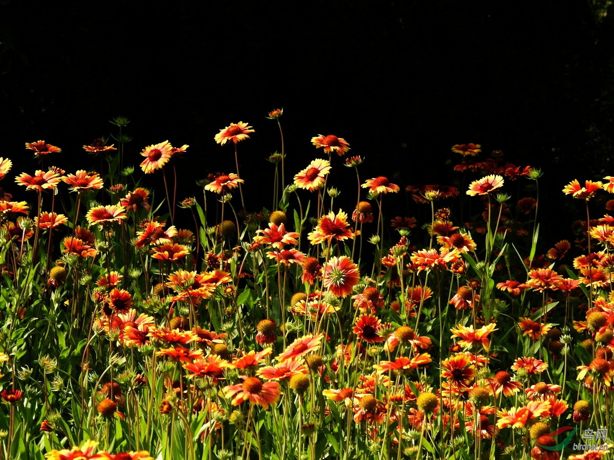 DSCN3827.JPG