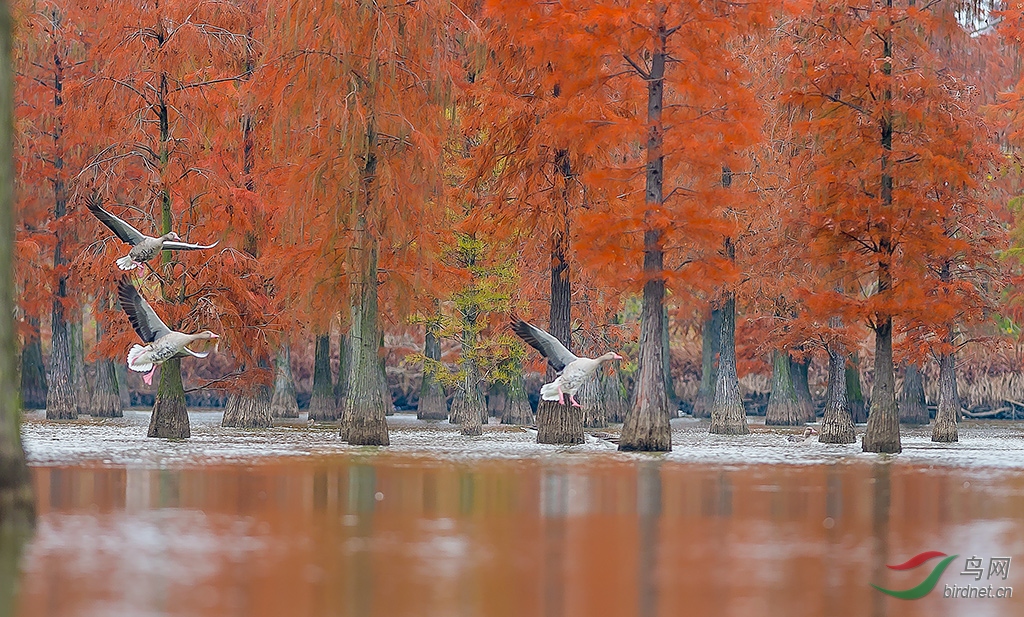DSC_7518.jpg