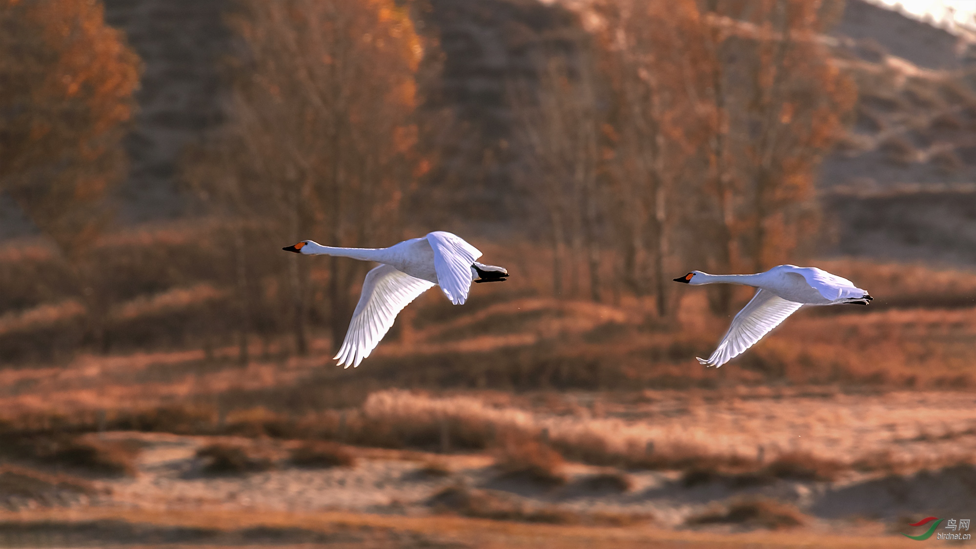 DF7A0468���쿨���.jpg