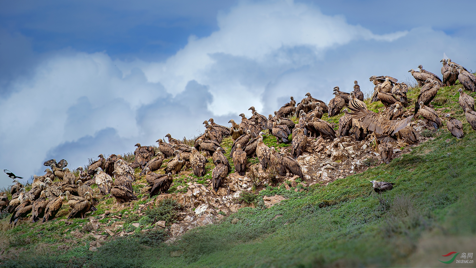 _DSC6174-1.jpg