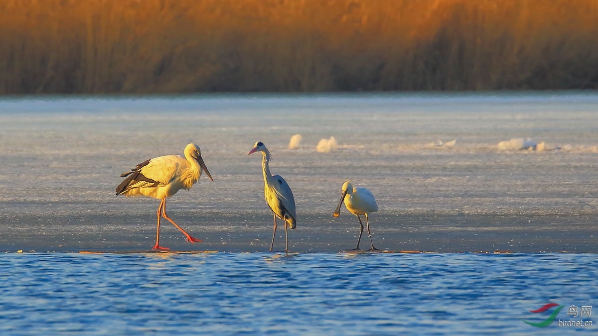 ����ͬ��