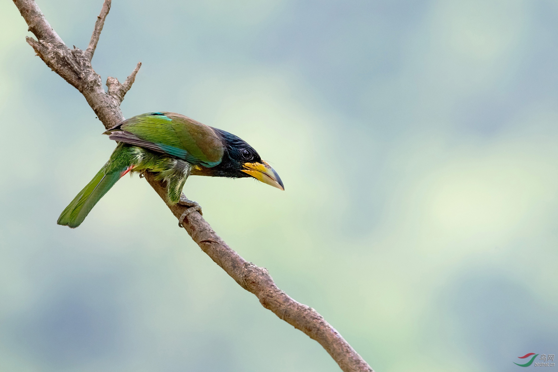 DSC_6010.jpg