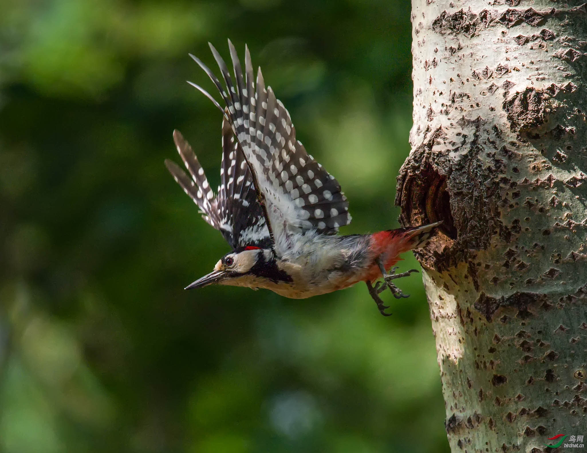 ���ɣ������ ��ʦ����������ʡ������500.jpg