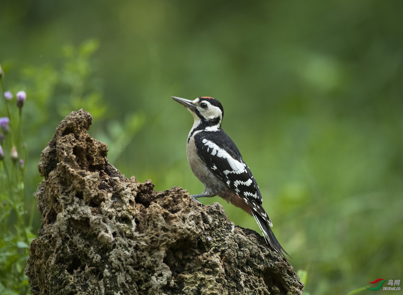 ��Ӱ���� ��ʦ������ɽ��ʡ�����У���.jpg