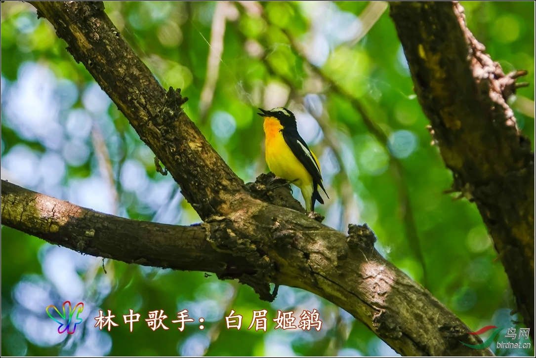 46-��ü���l���и���-DSC04593CR_����.jpg