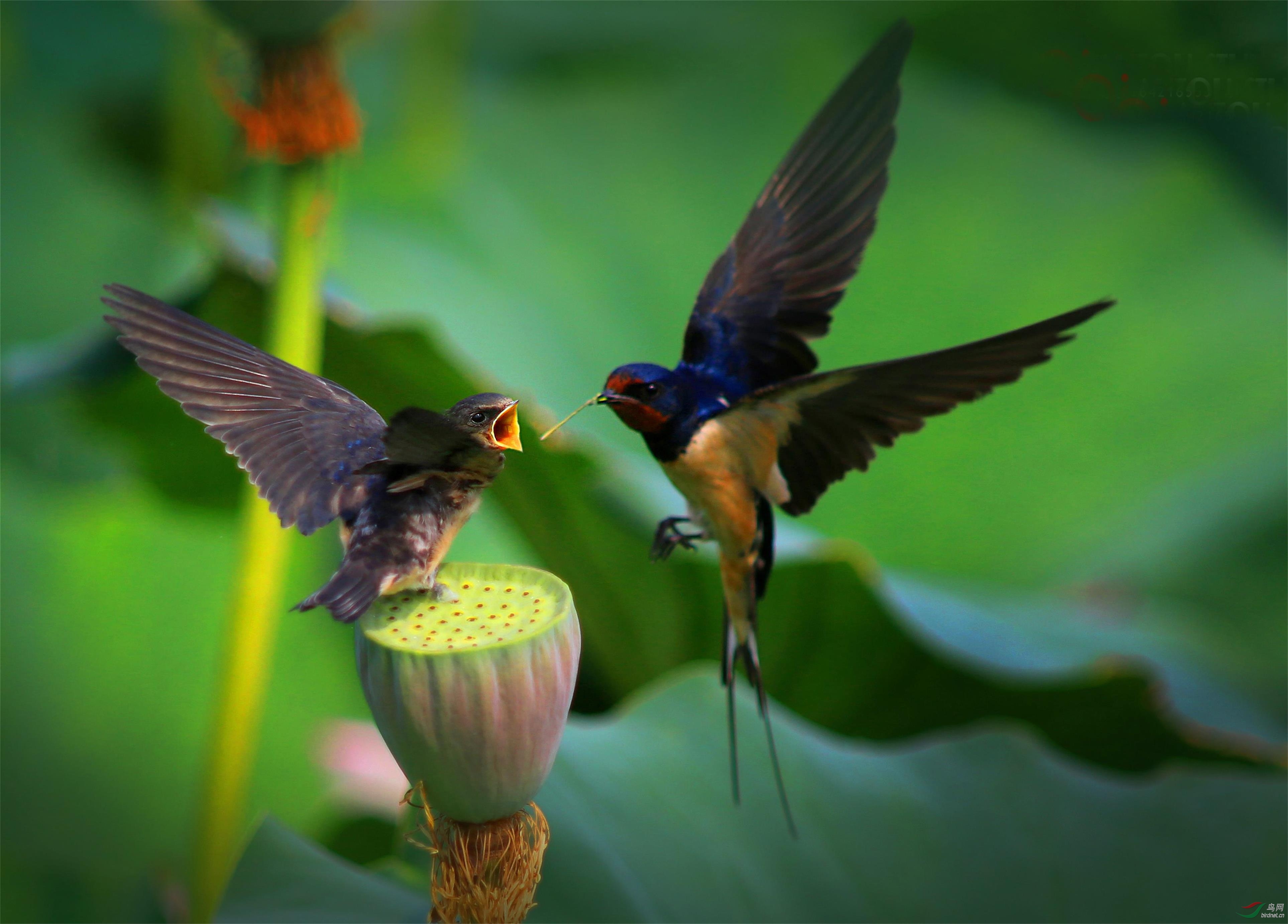 C08A8854 ����_��ͼ��.jpg