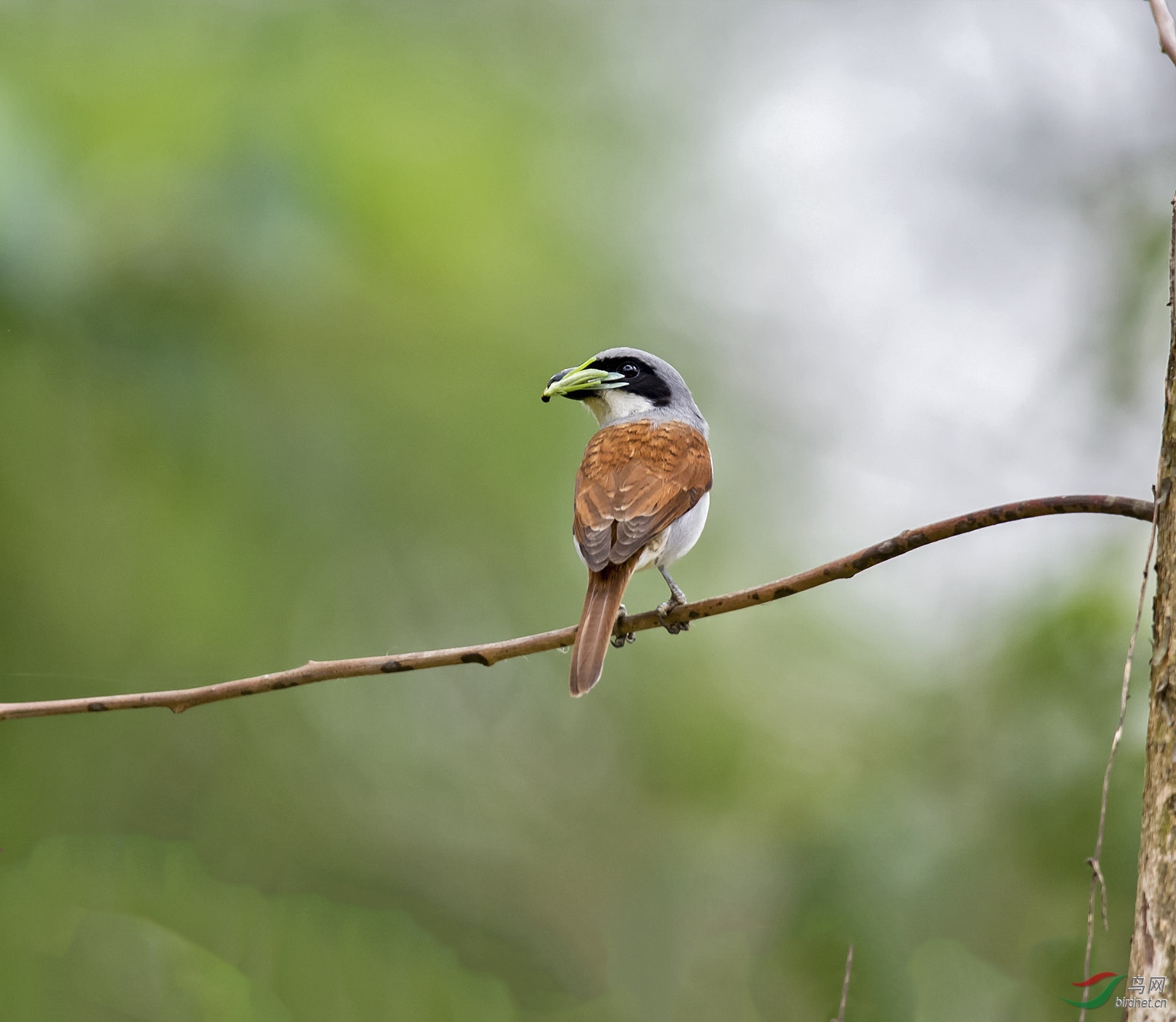 DSC_7362.jpg