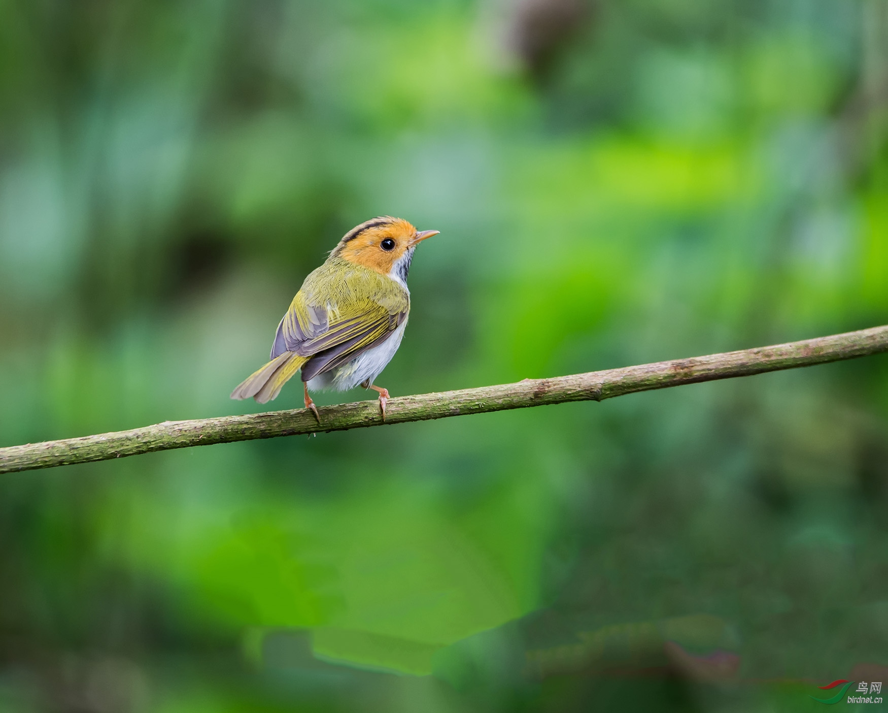 DSC_5394.jpg