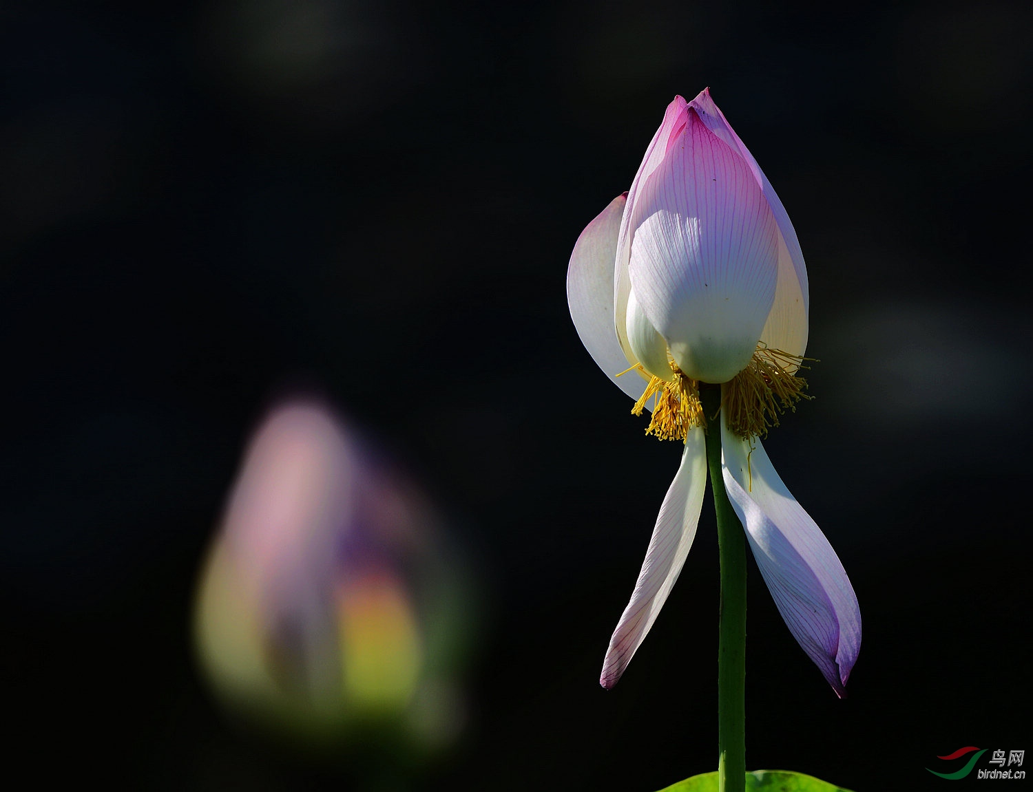 _D803614.jpg