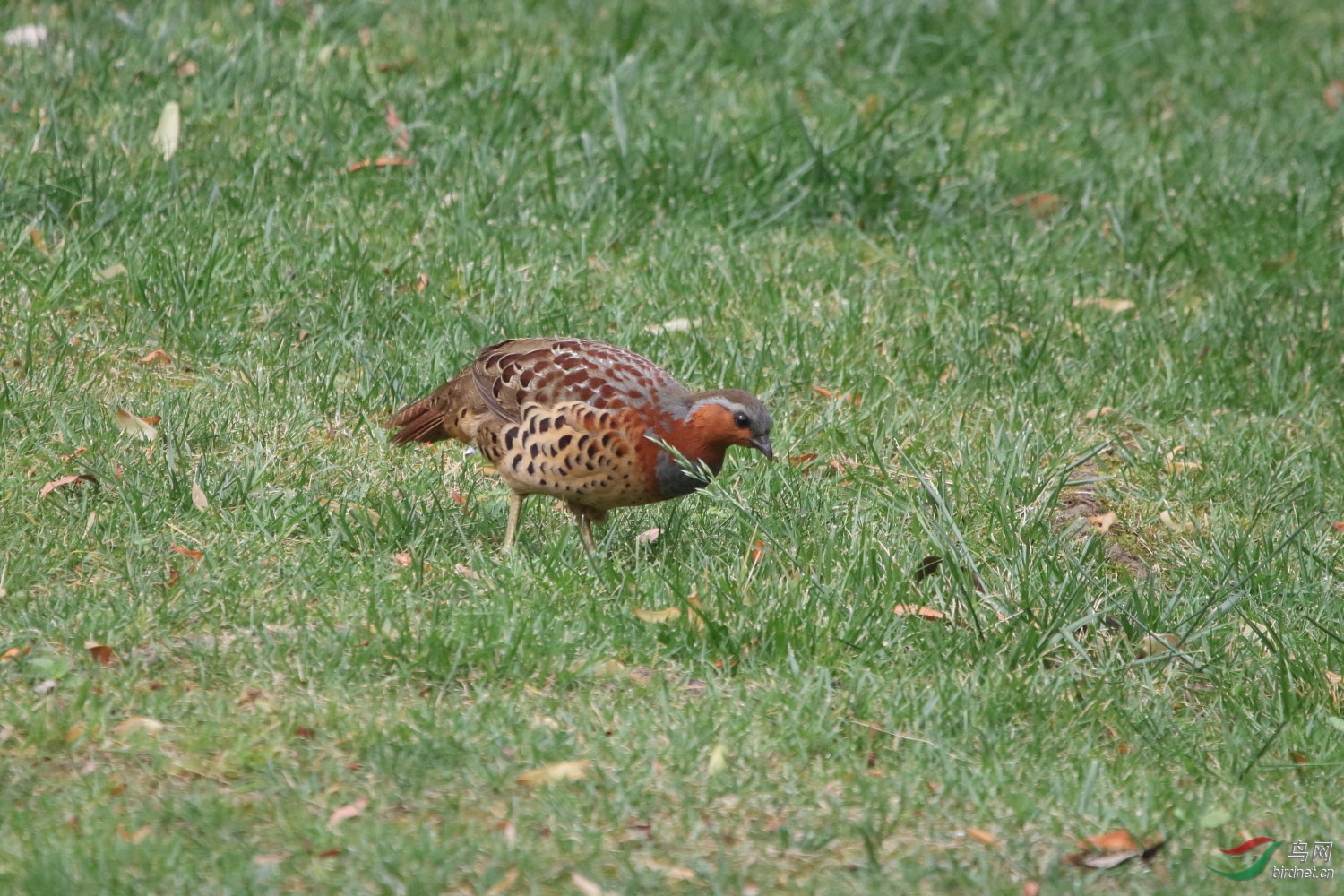IMG_9287.JPG