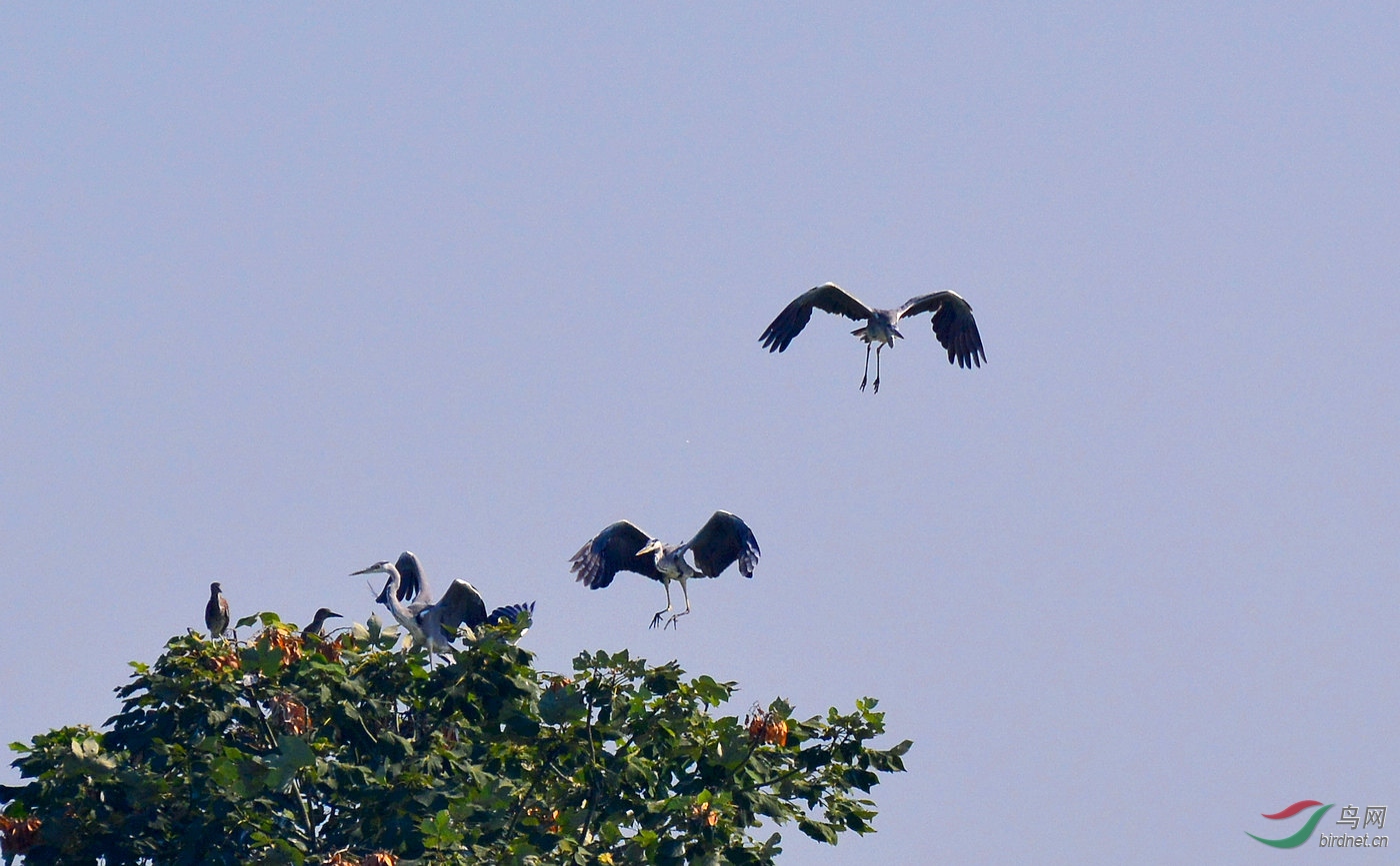 DSC_0392.JPG
