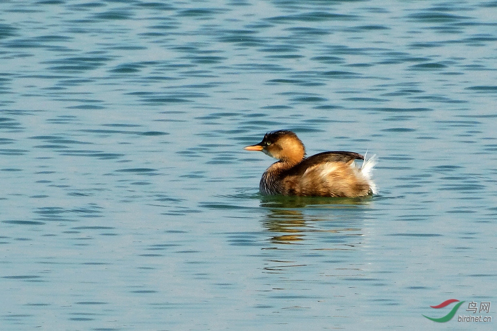 DSC00721.JPG