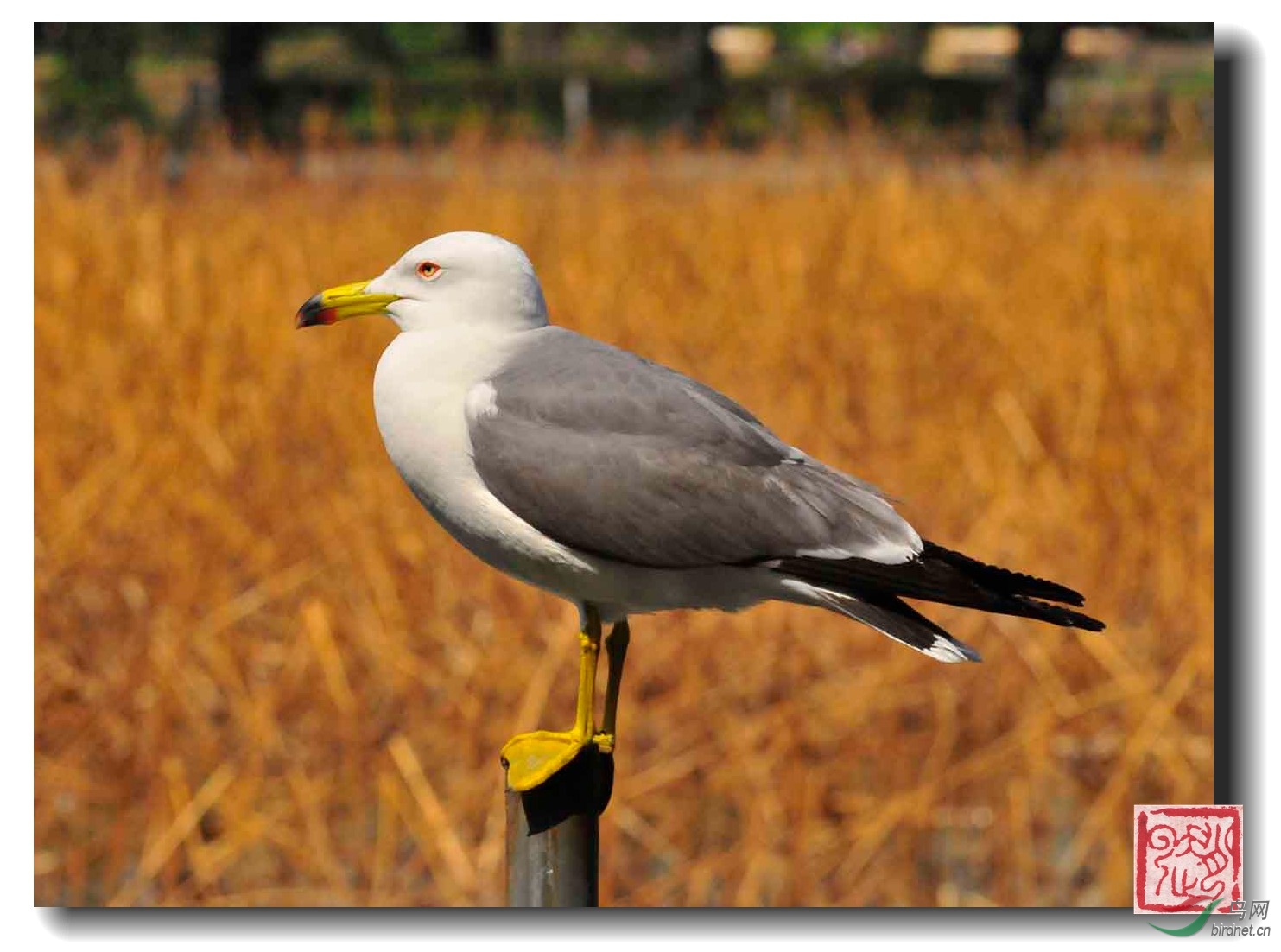 照片 536-2_副本.jpg