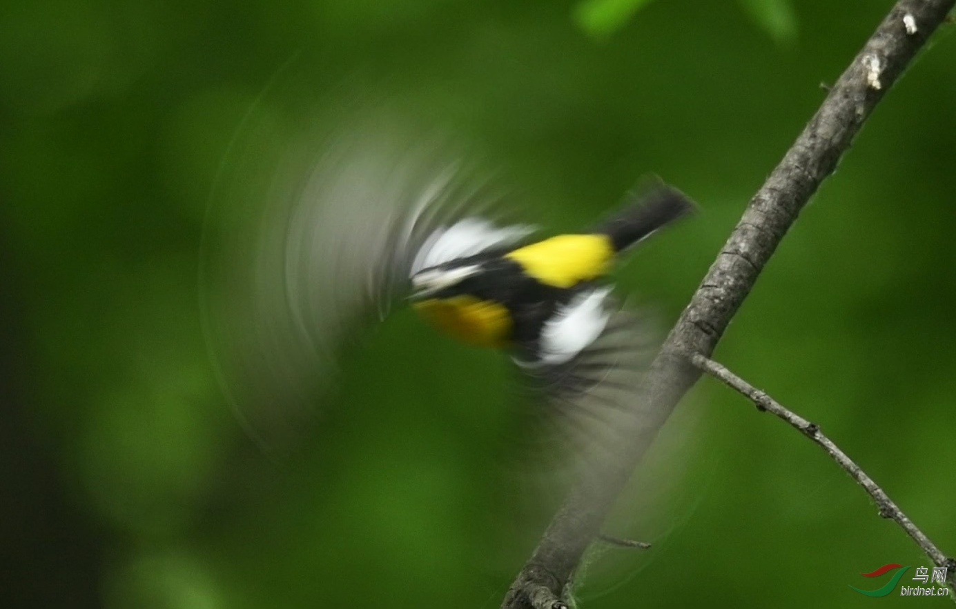 DSC_0042 00_03_42-00_03_46_Moment-1-2.jpg