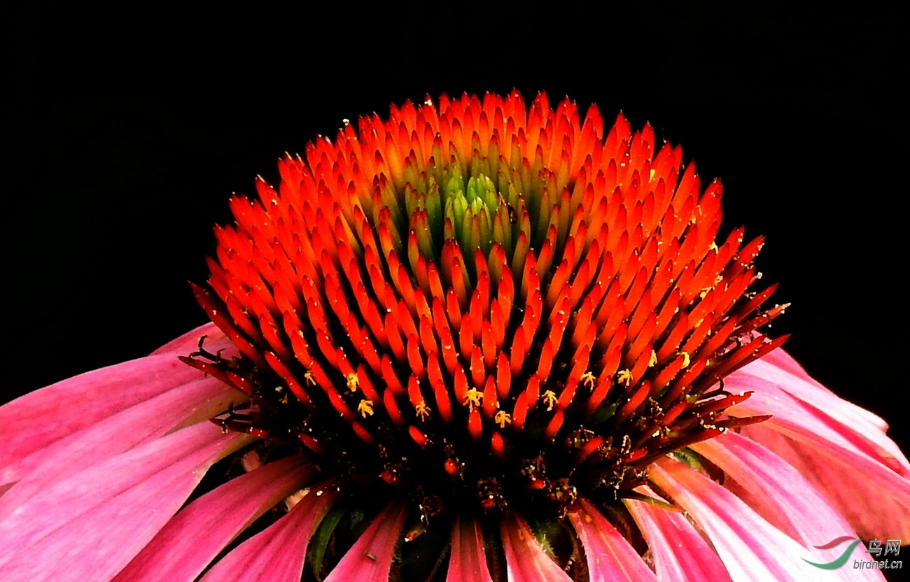 DSCN3983.JPG