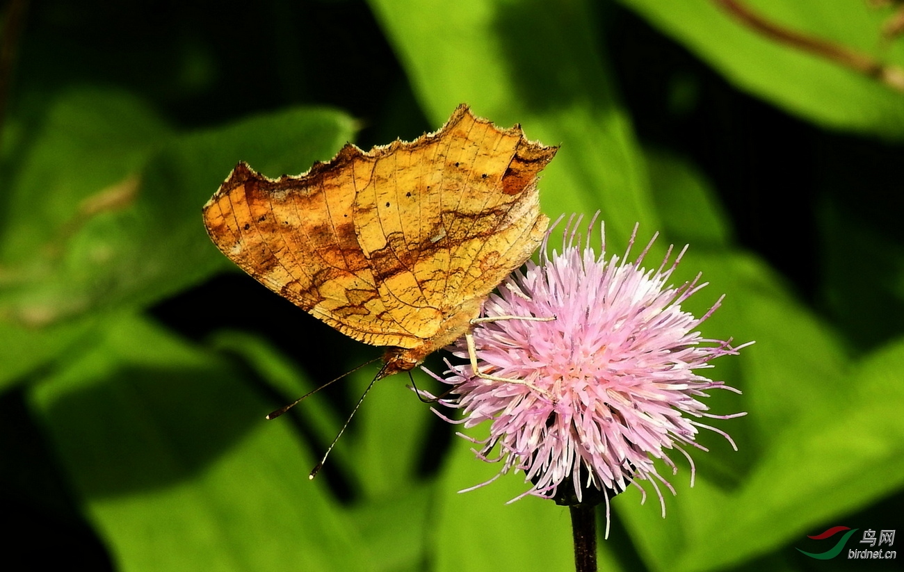 DSCN3615.JPG
