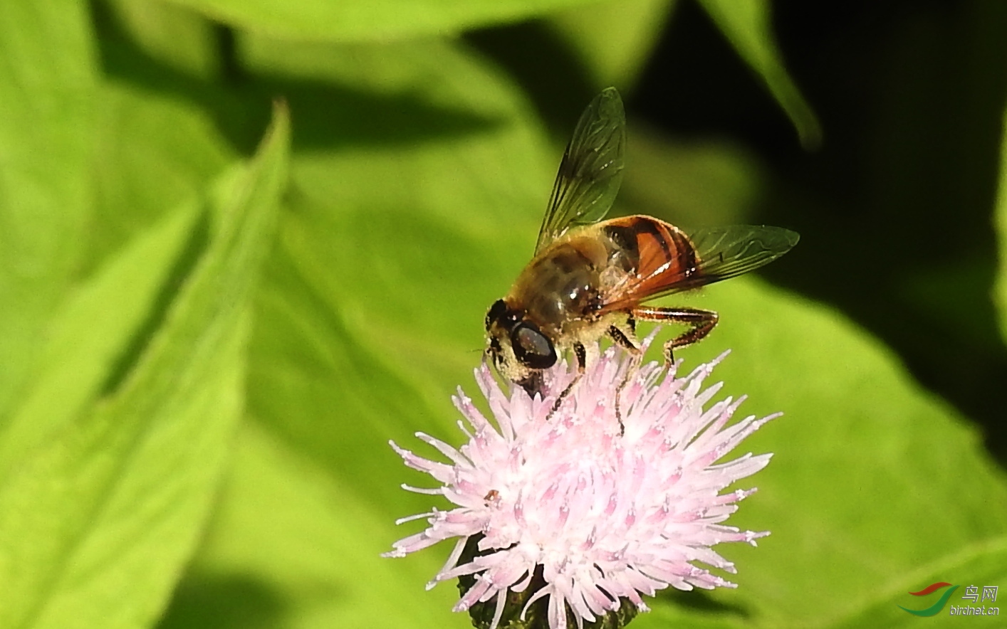 DSCN3918.JPG