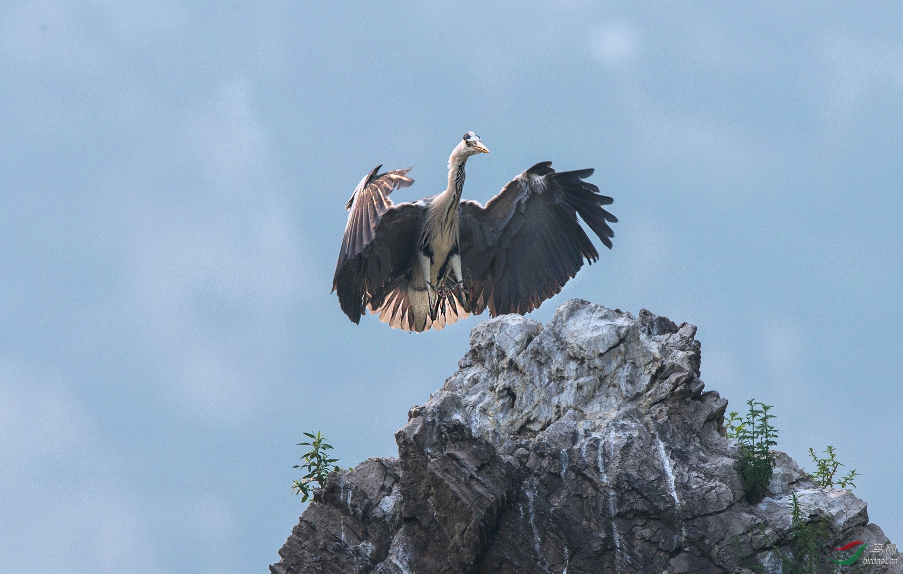 BW4Q7822 - ����.jpg