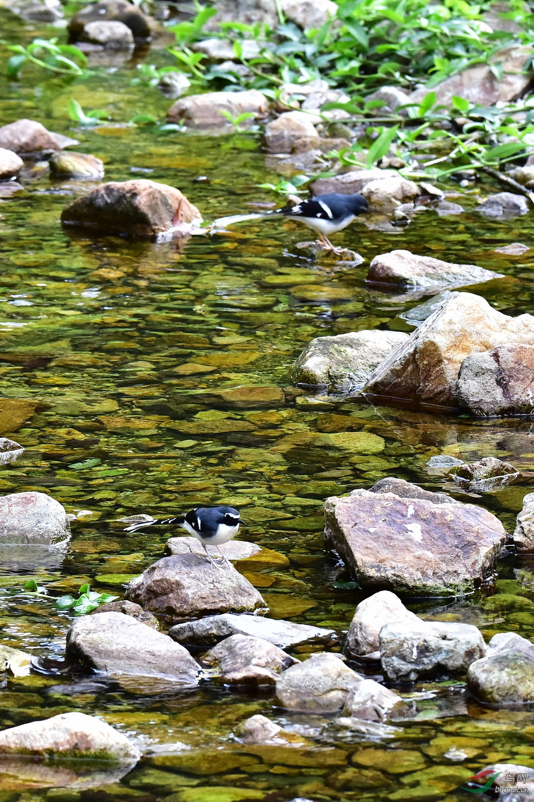 DSC_0229.JPG