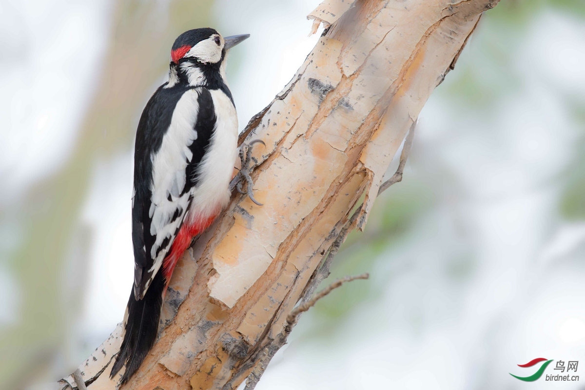 ҰȤ ��ʦ����.jpg