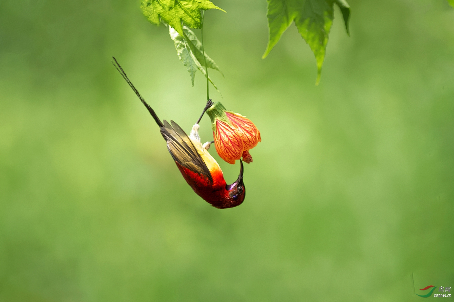 DSC_8209-2.jpg