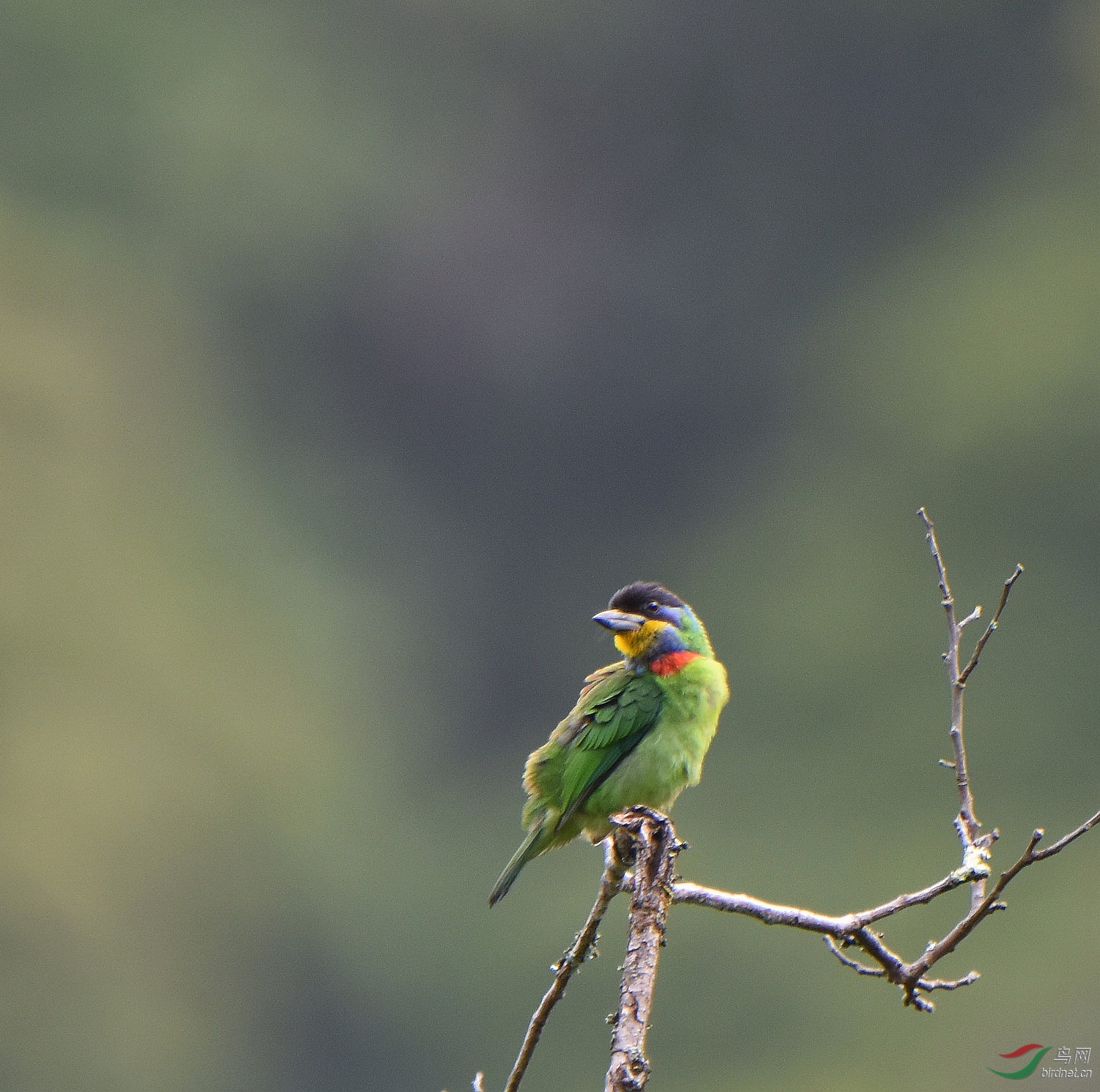 D8I_5971.jpg