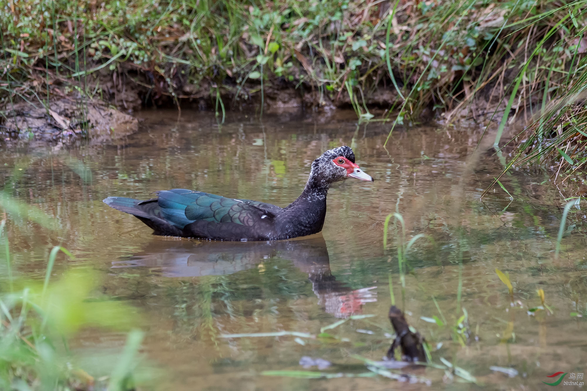 DSC_7534.jpg