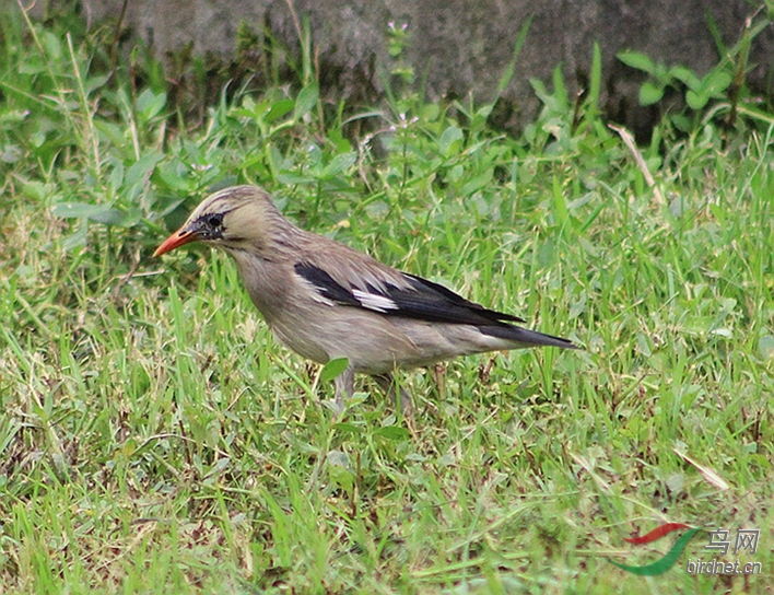 IMG_0044.JPG