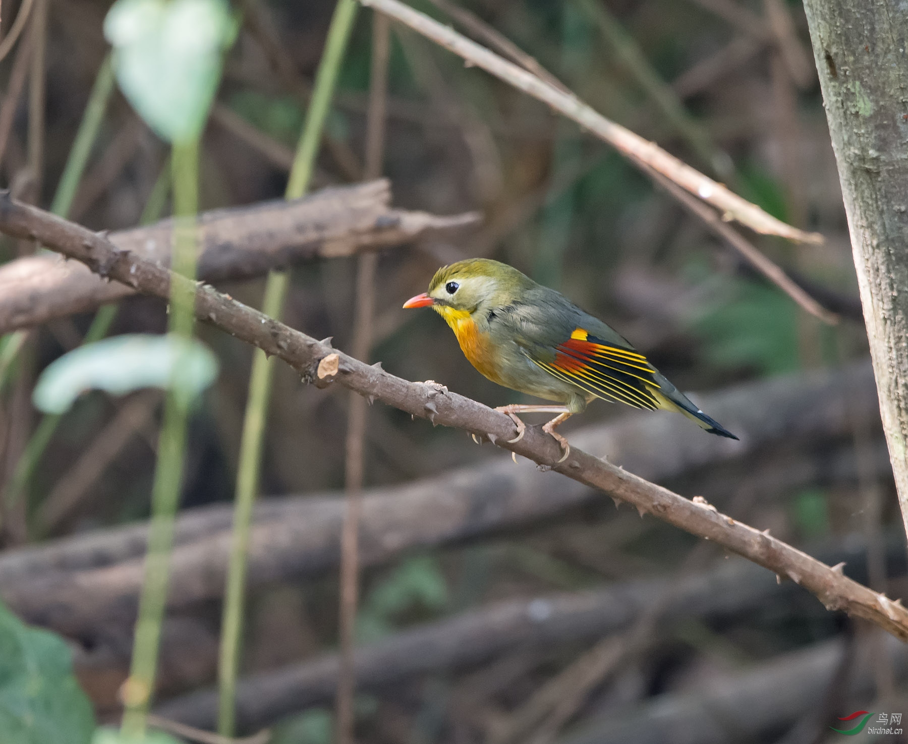 DSC_5555.jpg