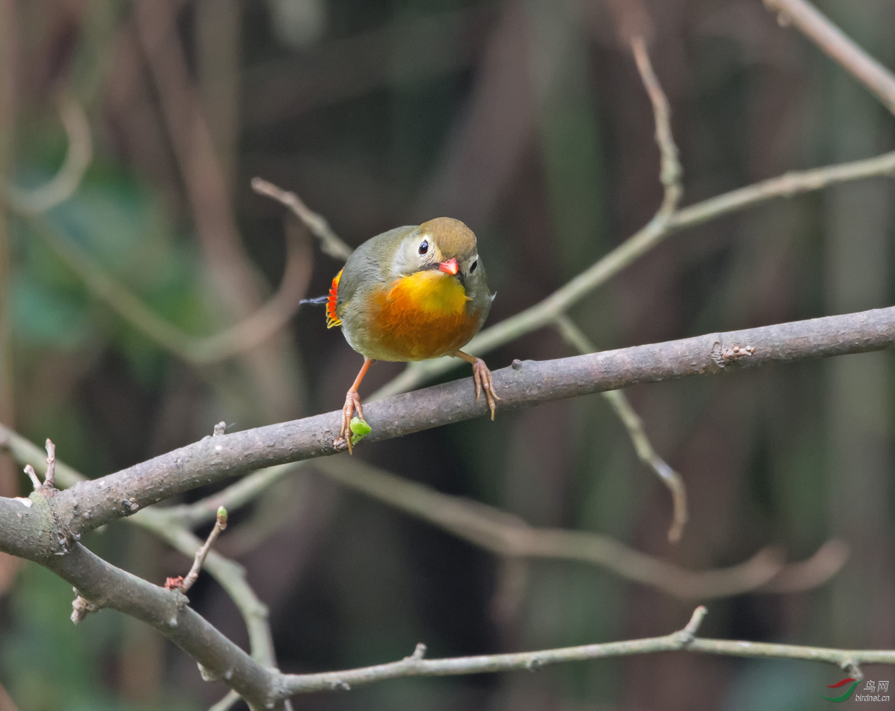 DSC_5470.jpg