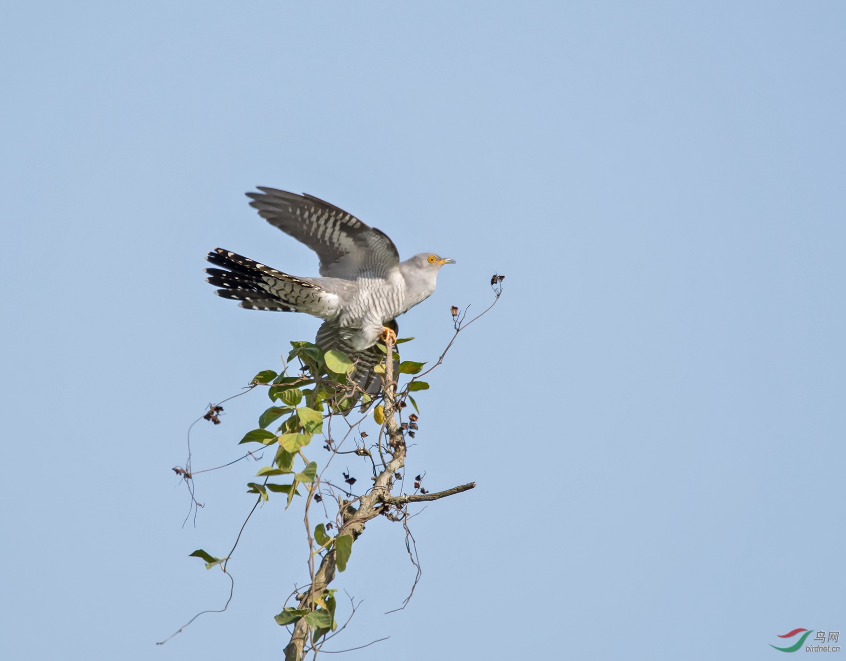 _SC_5559.jpg