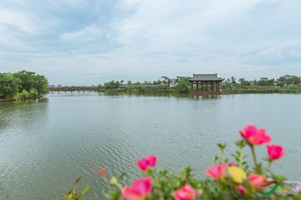 塘栖丁山湖风景区图片