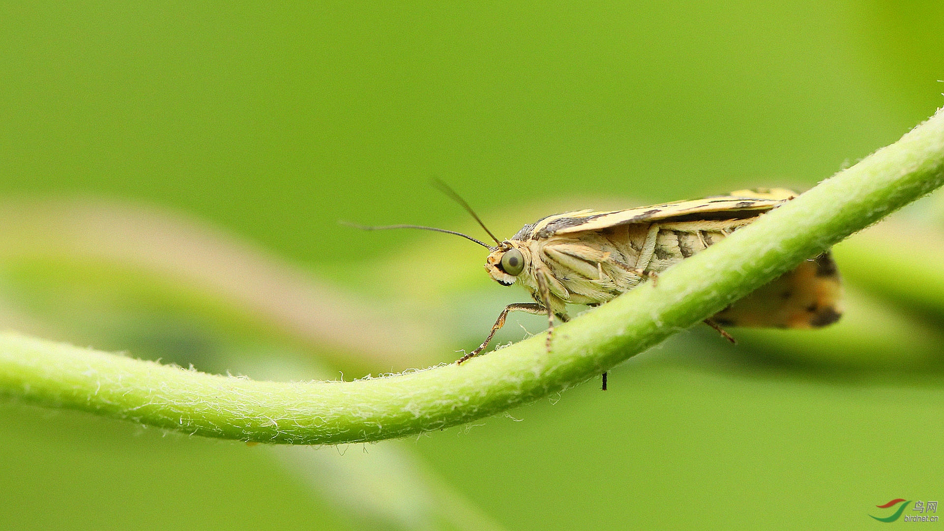 EC6A5725_����.jpg