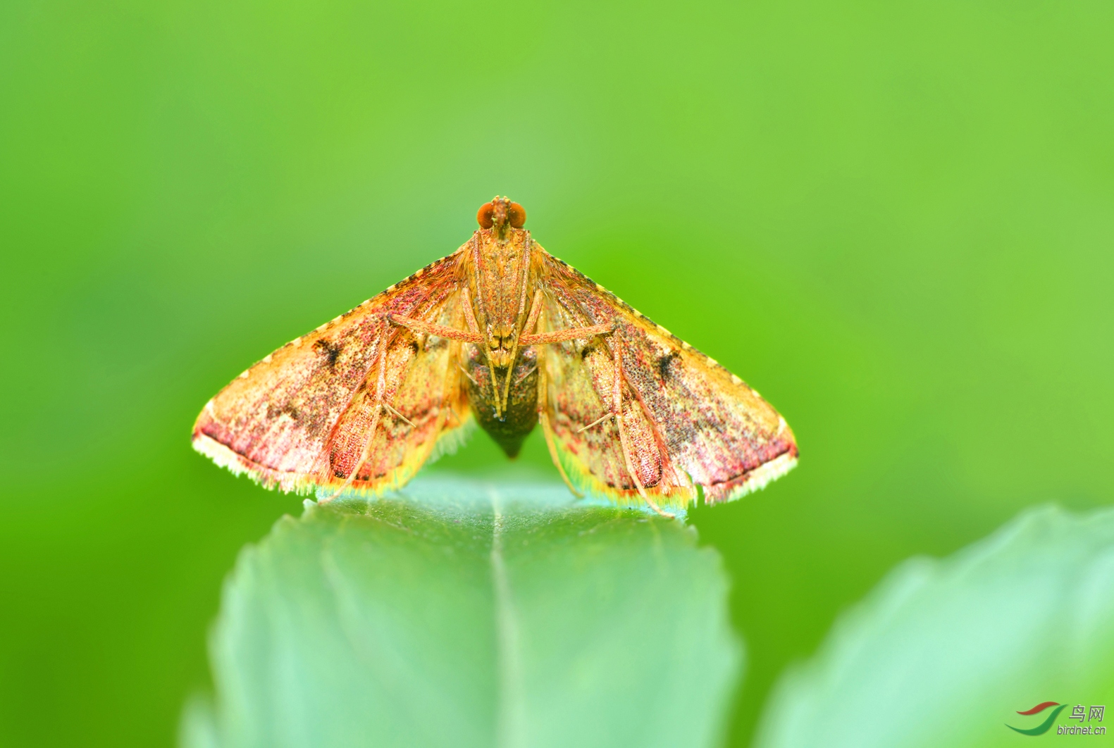 DSC_1022 ��������1.jpg