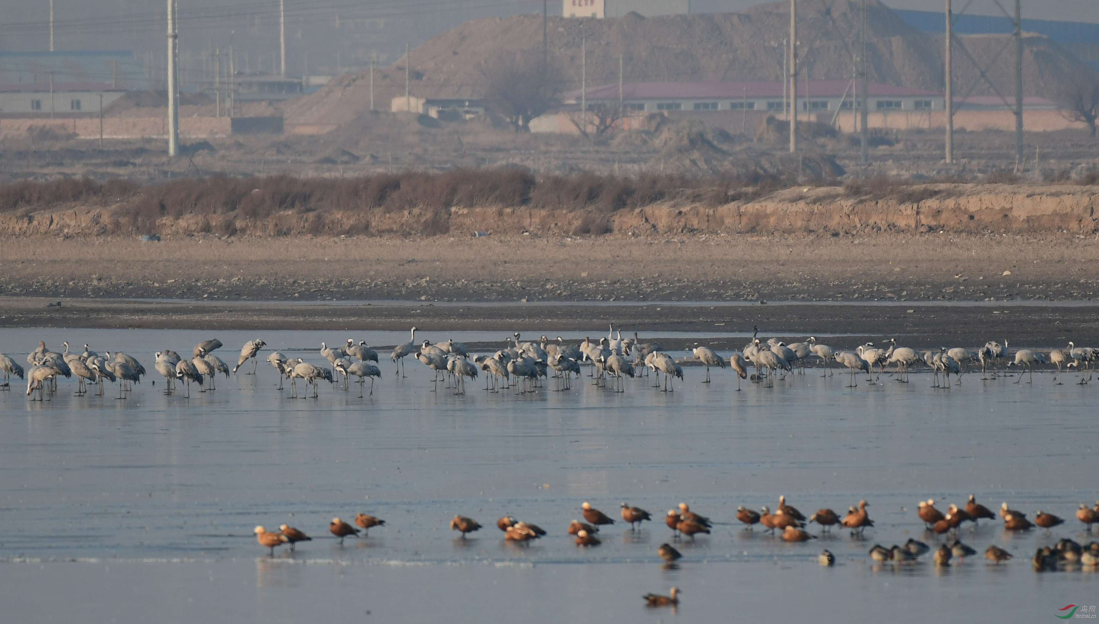 DSC_2759_����.jpg