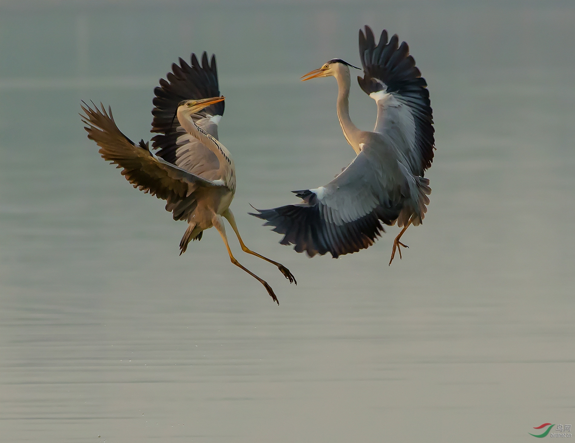 �糿�����ݴ�������