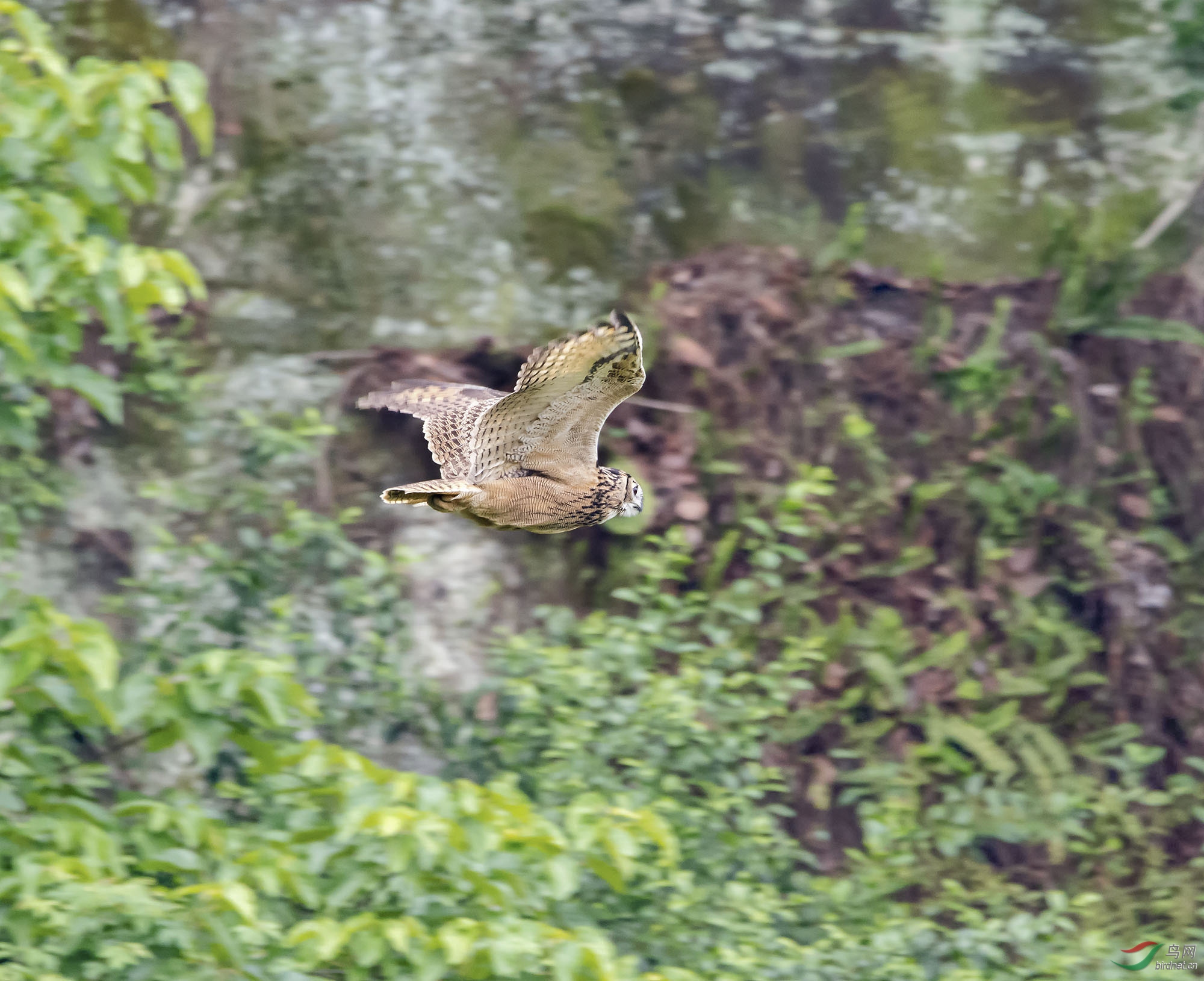 DSC_7571-2.jpg
