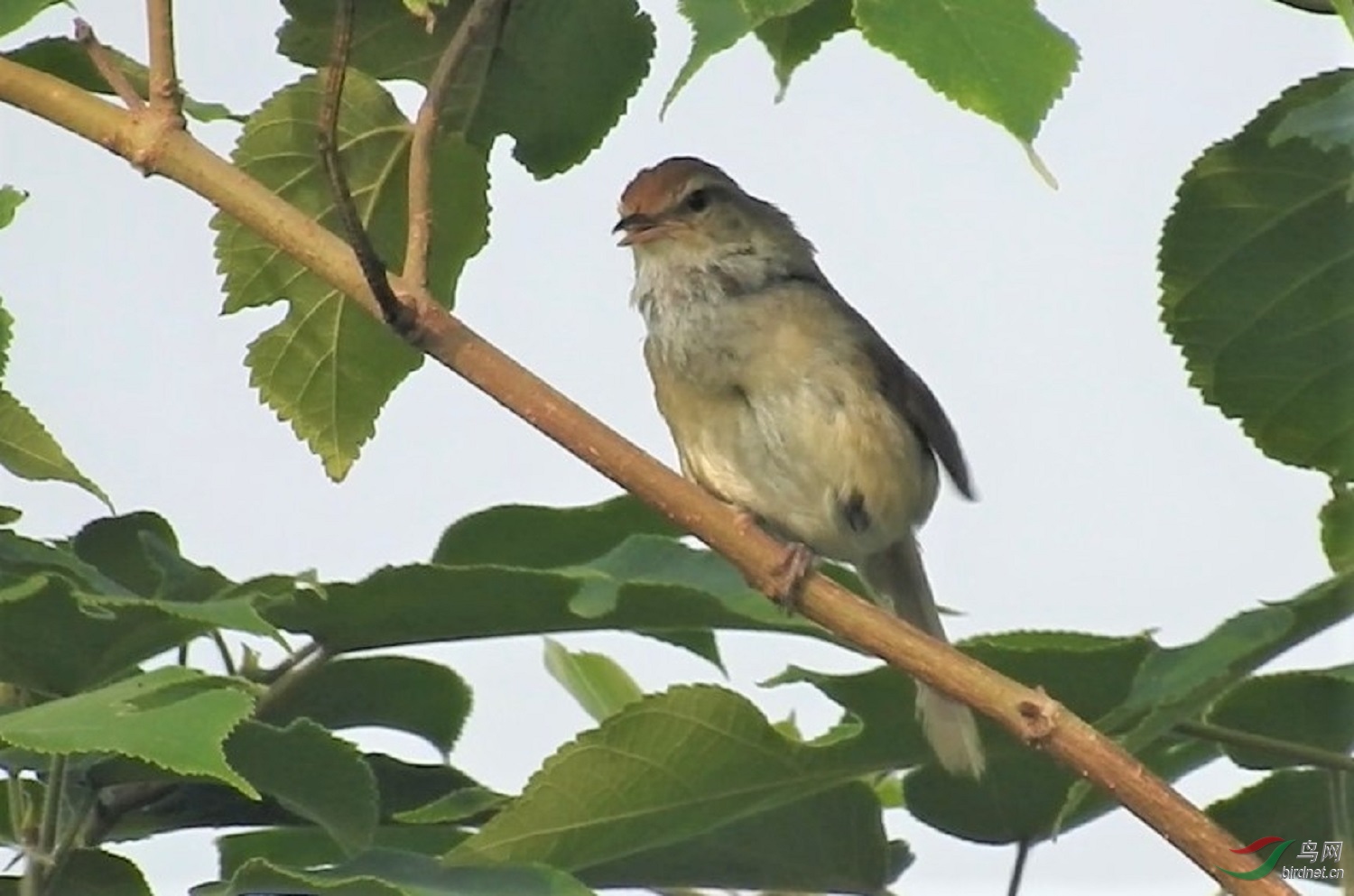 ݺ-��ׯˮ��6.jpg