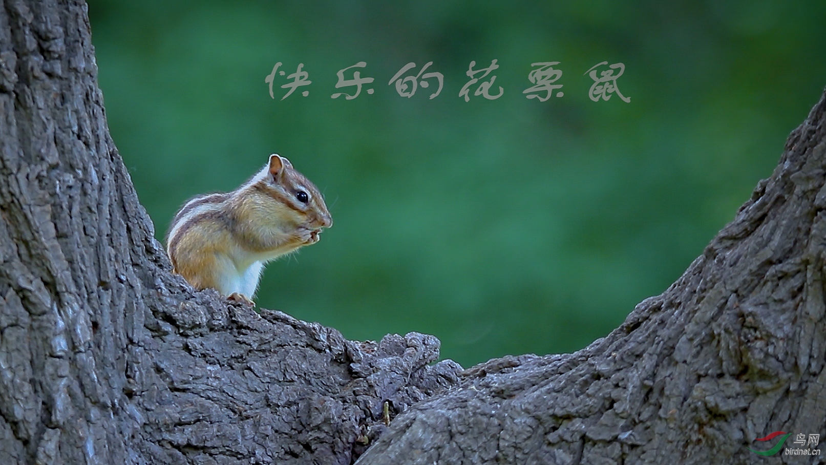 DF7A8652.jpgK.jpg