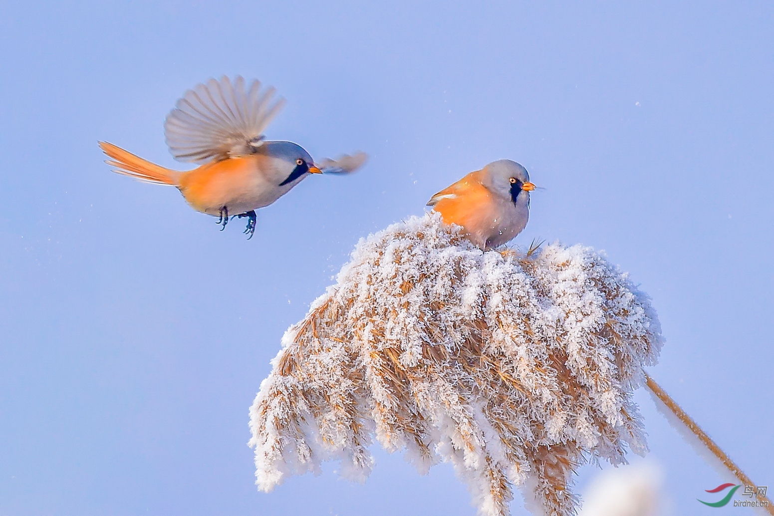 DSC_6055-2.jpg