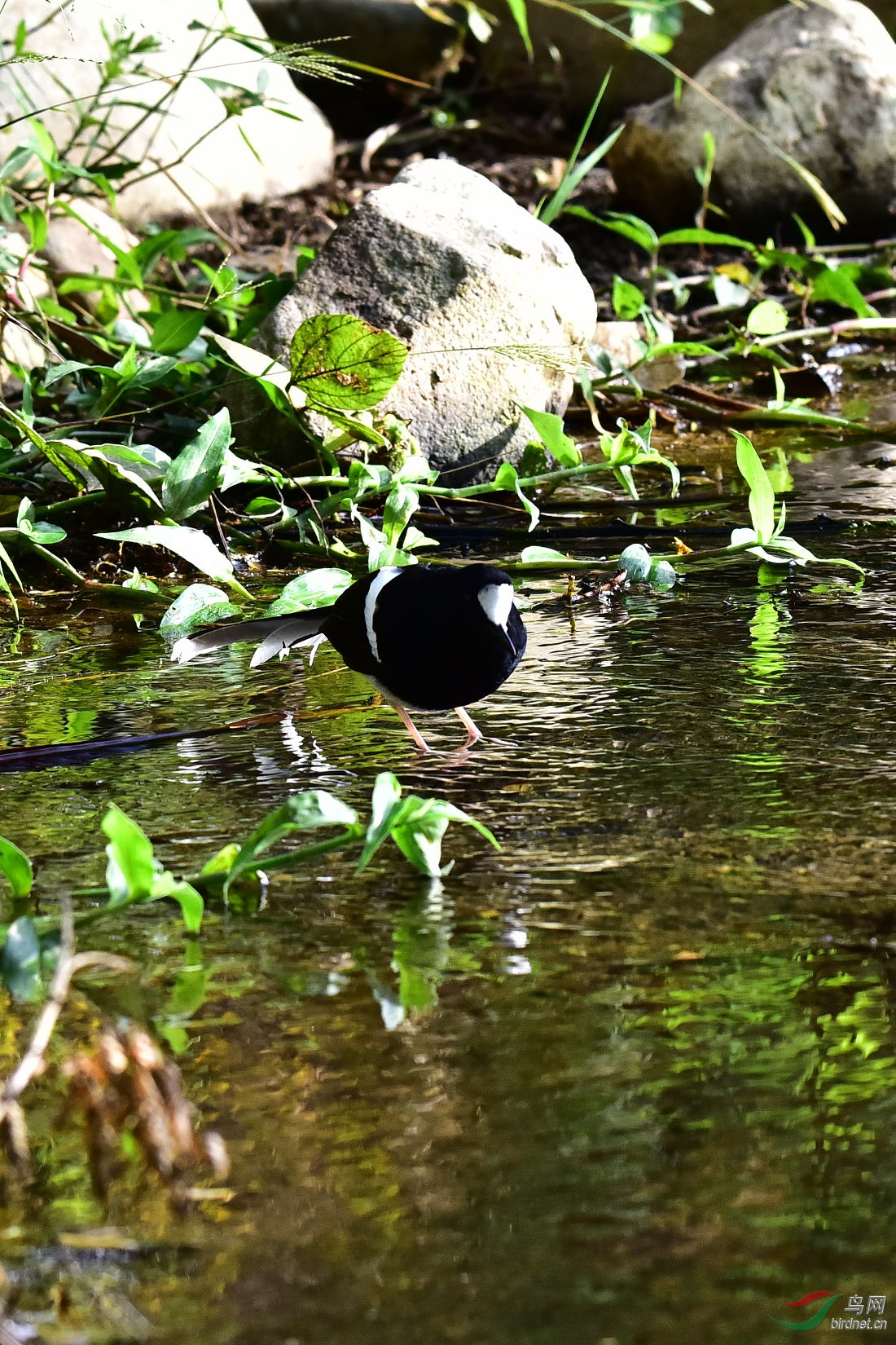 DSC_0249.JPG