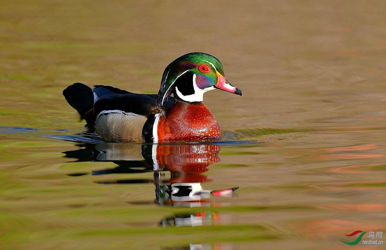 034119xdxa98xwa9al9lzn - ����.jpg