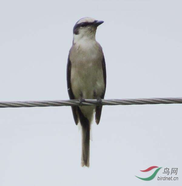 QQ��ͼ20200619175658.jpg