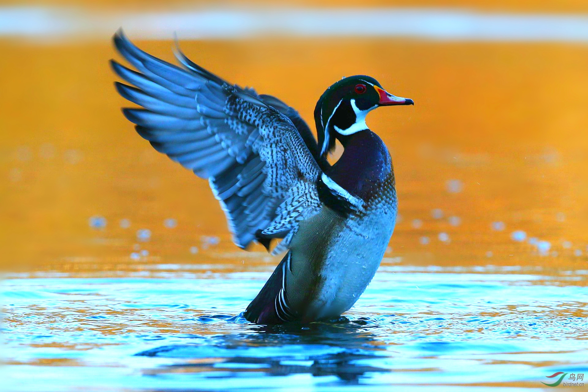 IMGL3741_���� - ����.jpg