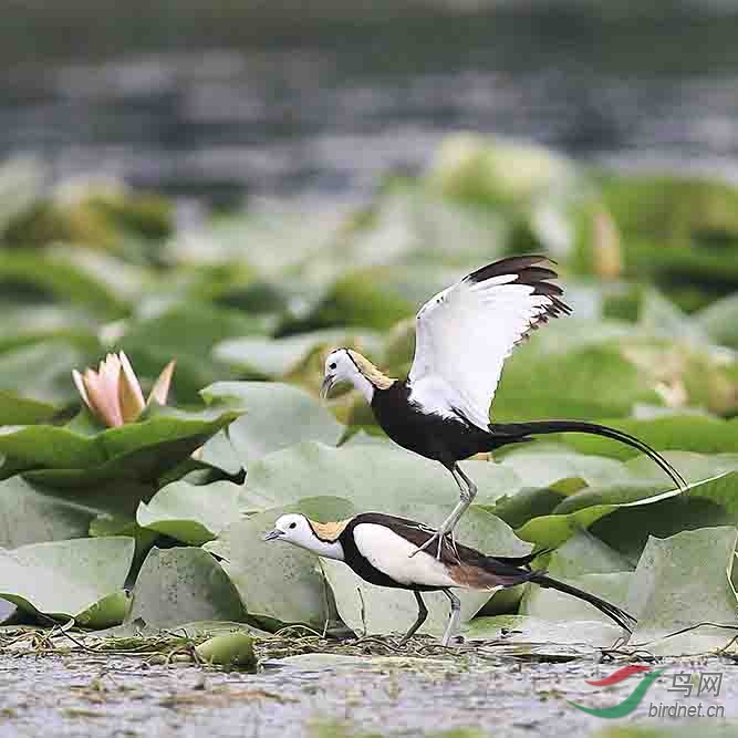 339A7026.jpgK - ����.jpg