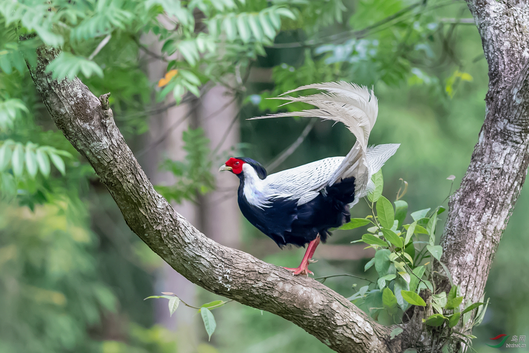 DSC_3621-1.jpg